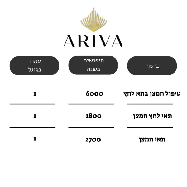 קידום אתרים אורגני לתאי חמצן